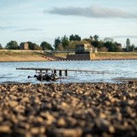 Daiwa Black Widow + Carp Rods